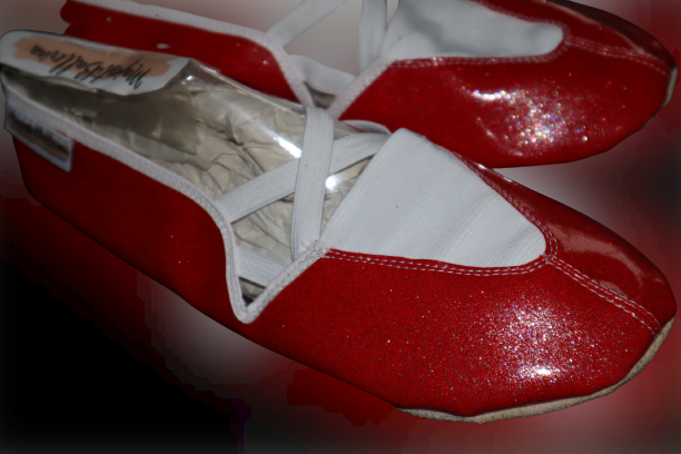 MajestiBallerina criss cross diverse colours mit Ledersohle